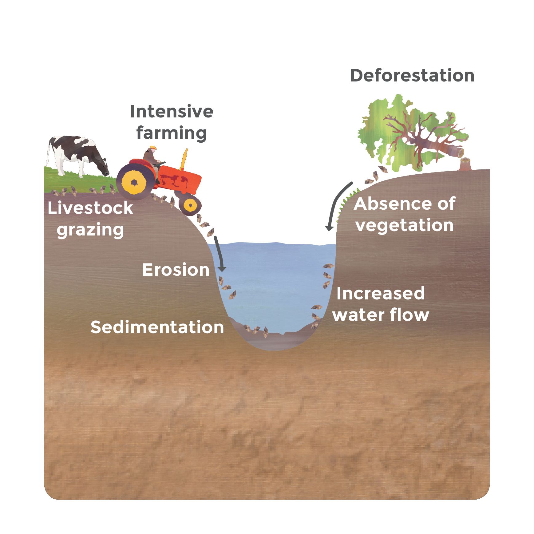 Things that lead to soil erosion like intensive farming and grazing, and deforestation