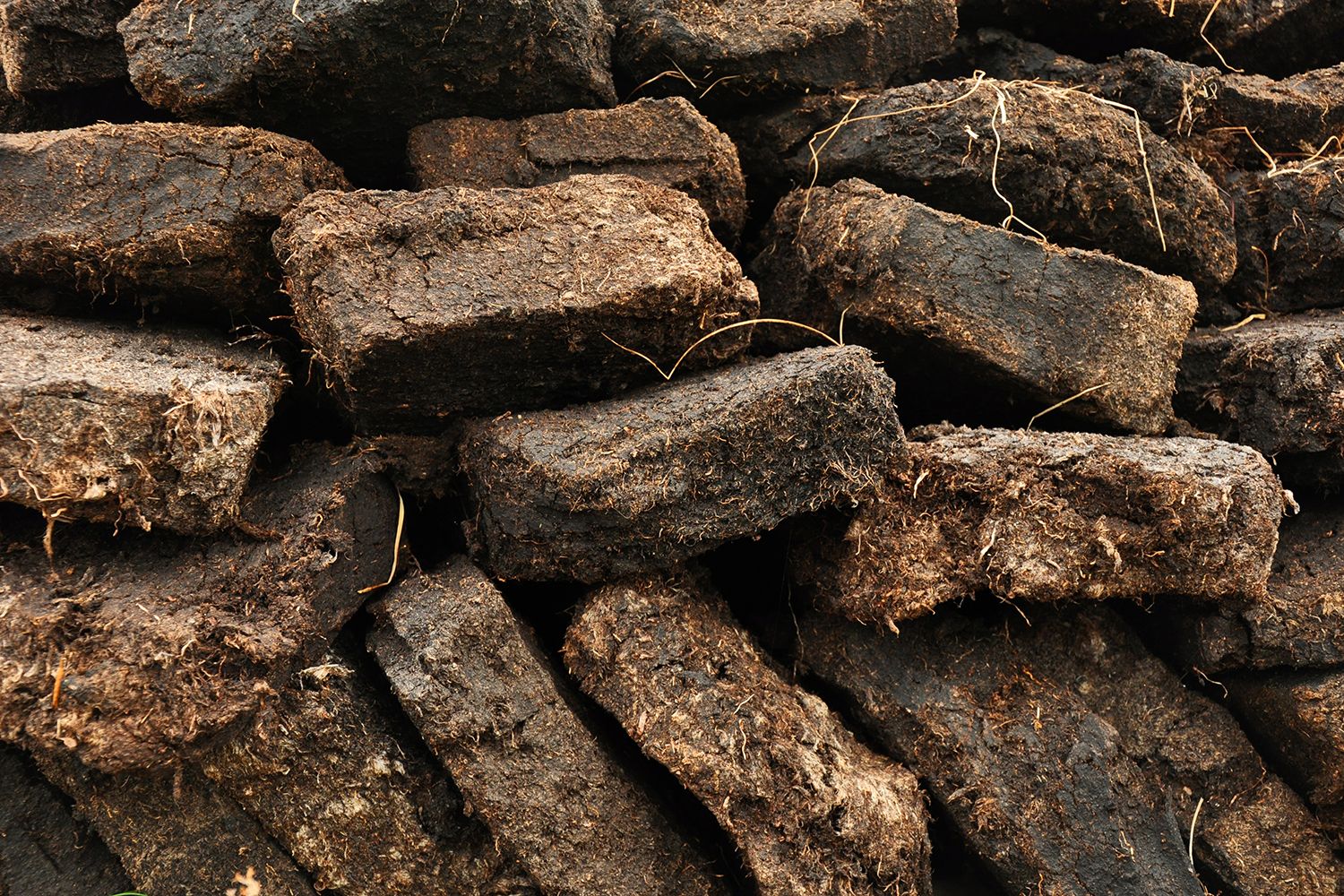 Bricks of peat