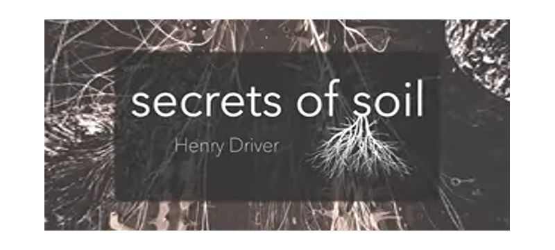Secrets of Soil is an artistic experience set in a reimagining of the cosmic world beneath our feet