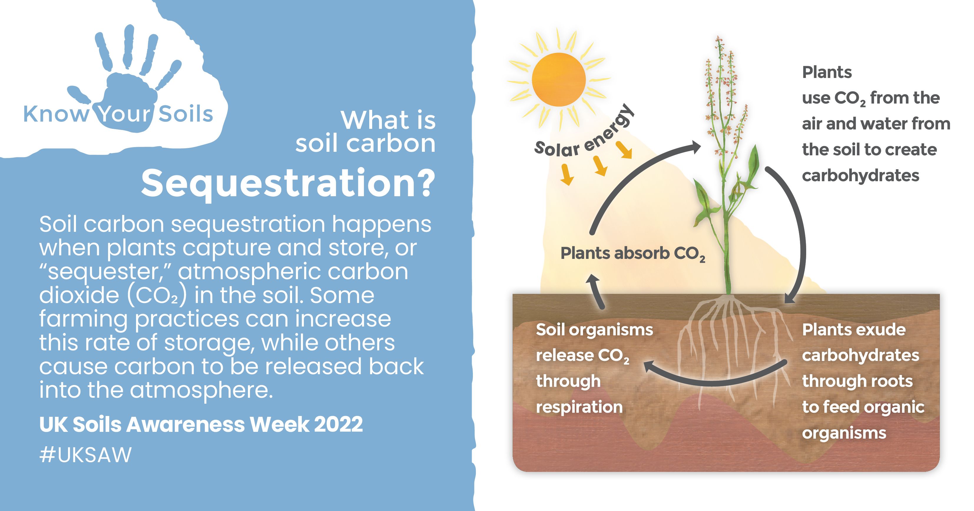 Soil carbon sequestration