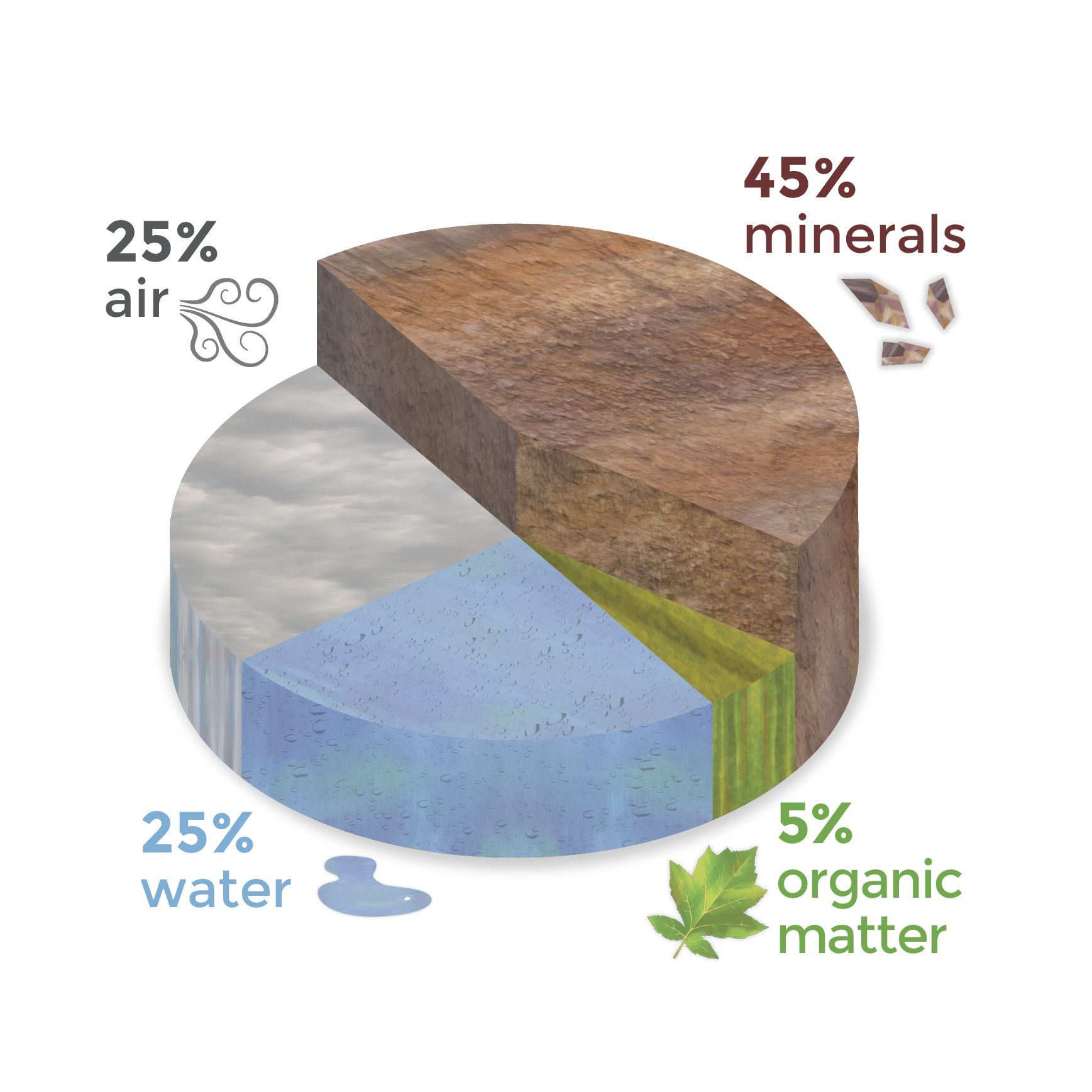 Pie chart of soil composition: 45% minerals, 25% air, 25% water, 5% organic matter