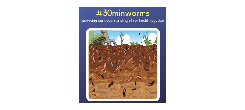 Wormsurvey.org has information about earthworms including details of surveys you can take part in to look for worms in soil