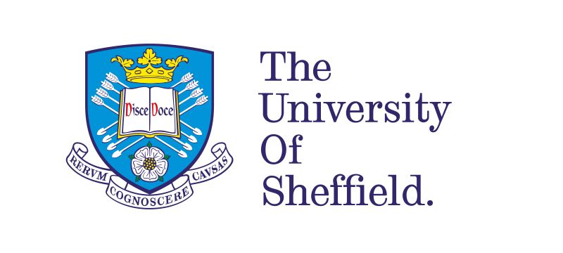 University of Sheffield webinar