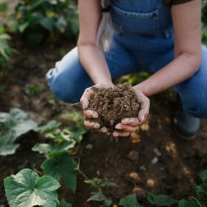 Gardener with handful of soil