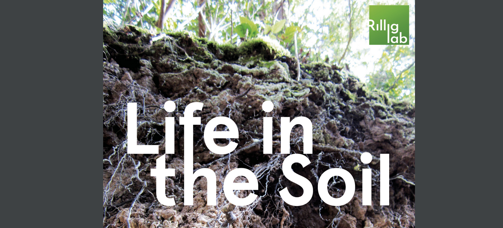 A great podcast series on life in the soil.