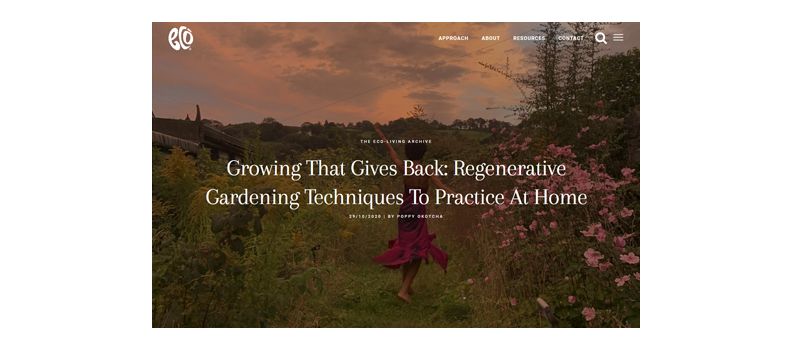 Growing That Gives Back: Regenerative Gardening Techniques To Practice At Home